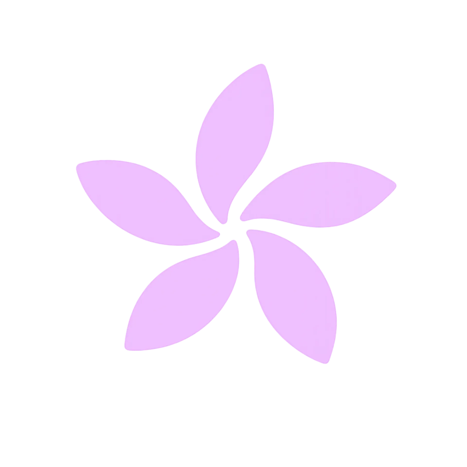 13. OPTION: Multi-brand presence (max. 1 additional brand)