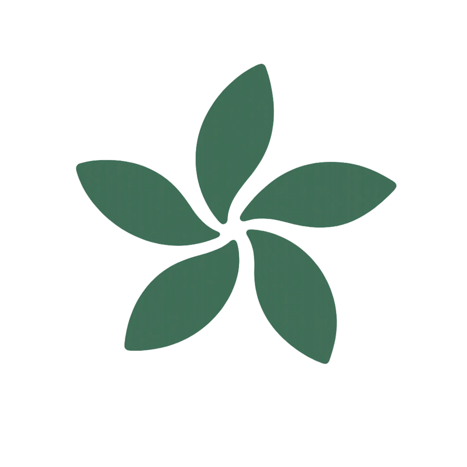 [LTH #2 - OPTION] 07. OPTION : Mise en avant de votre actualité sur notre site web